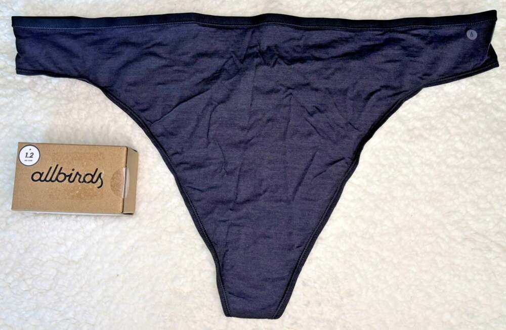 3 Pairs Allbirds Womens 3X Trino Thong Underwear Merino Wool Blend Raincloud - Picture 11 of 11